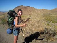 Aerodynamic tumbleweeds