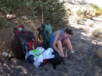 Late lunch under a Juniper