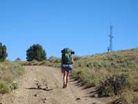 Cell tower marking summit of Ophir Hill