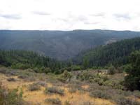 Palmer Ridge from Plumbago Rd.