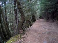 Ascent out of Gold Canyon