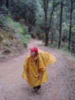 Plumbago Rd. in Nevada County