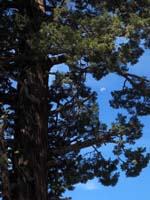 Moon over Donner Pass Rd., CA