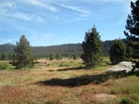 Meadows near Lake Van Norden as seen from Old Donner Summit Rd.