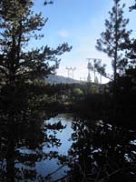 Power lines along Lake Mary's west shore