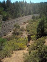 Trail leading off tracks