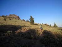 Nearing the tree line