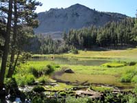 Campsite at Gray Lake