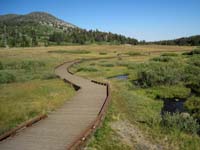 Wheelchair access to Tahoe Meadows