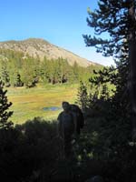 Western head of Ophir Creek trail