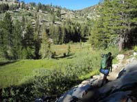 Trail leading into Carson Range