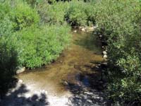 Ophir Creek submerging trail